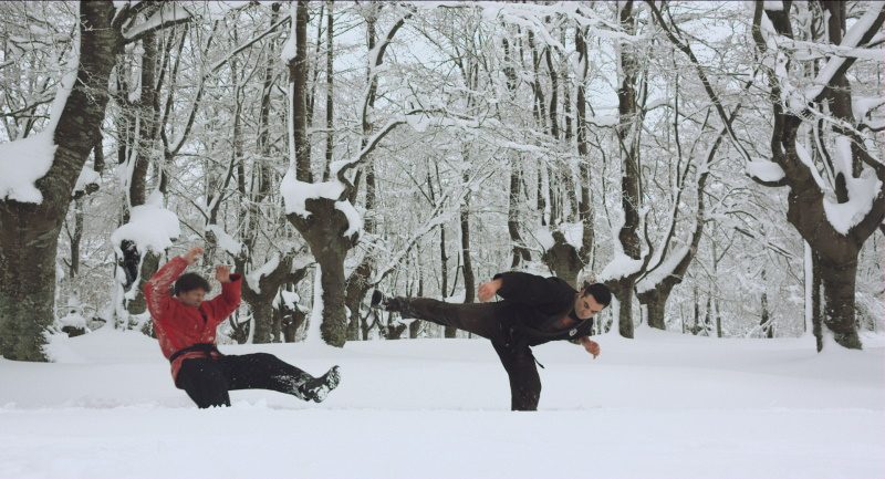 Barrido de sambo sobre la nieve